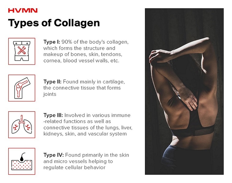 A woman with her back turned, stretching her triceps. There are also icons illustrating the different types of collagen: type one has a body with a wrench, type two has a knee, type three has lungs, and type four has a hair follicle.