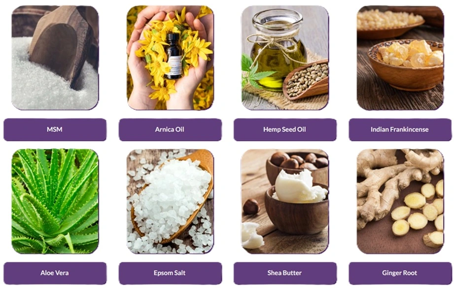 Grid of eight natural ingredients for Balmorex Pro, labeled as MSM, Arnica Oil, Hemp Seed Oil, Indian Frankincense, Aloe Vera, Epsom Salt, Shea Butter, and Ginger Root, each shown in their raw form against a white background.