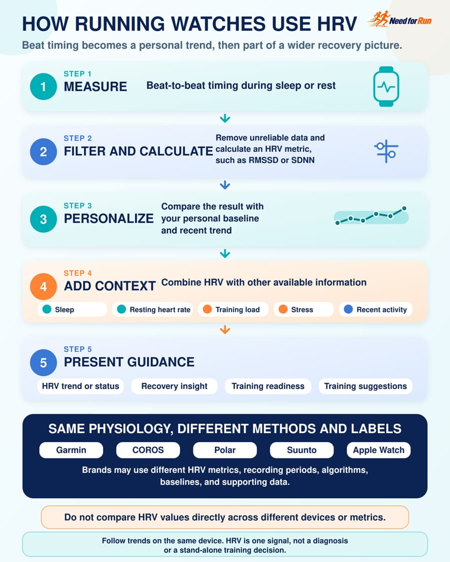 Infographic showing how running watches turn beat timing into HRV trends, recovery insights, readiness, and training guidance